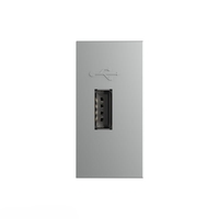 Priza USB Livolo, gri