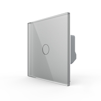 Intrerupator Simplu LIVOLO cu Touch - Serie Noua, gri