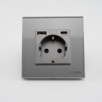Priza Simpla + USB-A + USB-C LUXION cu Rama din Sticla, gri