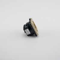 Modul Priza Simpla Fara Rama Din Sticla LUXION, auriu