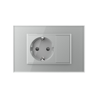 Priza simpla cu blank Livolo cu rama din sticla 3M, standard Italian, Serie noua, gri