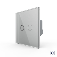 Intrerupator Dublu cu Revenire, Contact Uscat cu Touch LIVOLO - Serie Noua, gri