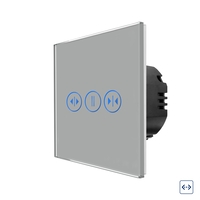 Intrerupator Draperie cu Touch din Sticla LUXION, gri