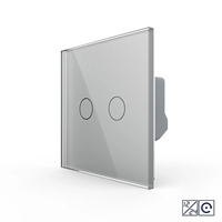 Intrerupator Dublu cu Revenire, Contact Uscat si 12/24V cu Touch LIVOLO – Serie Noua, gri