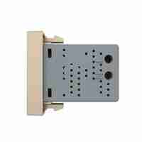 Priza USB Livolo, auriu