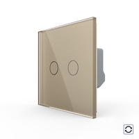 Intrerupator Dublu cu Revenire, Contact Uscat cu Touch LIVOLO - Serie Noua, auriu