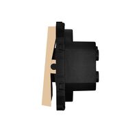 Modul Intrerupator Dublu Mecanic LUXION, auriu