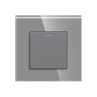 Intrerupator Simplu Mecanic cu Reset / Revenire LUXION cu Rama din Sticla, gri