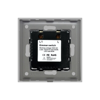 Intrerupator cu Variator Mecanic LUXION cu Rama din Sticla, gri