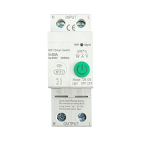 Siguranta automata Wi-Fi LUXION, 63A 2 Poli (1P+N), Monitorizare consum, Control aplicatie