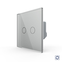 Intrerupator Dublu cu Revenire / Reset cu Touch LIVOLO - Serie Noua, gri