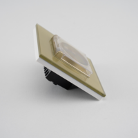 Priza Simpla cu Capac de Protectie cu Rama din Sticla LUXION, auriu