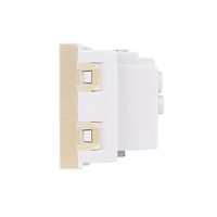 Modul Priza Schuko 2M Luxion, Standard Italian, auriu