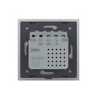 Priza USB-A + USB-C cu Rama Din Sticla LIVOLO - Serie Noua, gri