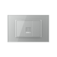 Priza Telefon LIVOLO cu Rama din Sticla, gri