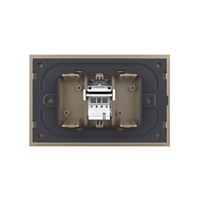 Priza Telefon LIVOLO cu Rama din Sticla, auriu