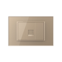 Priza Telefon LIVOLO cu Rama din Sticla, auriu