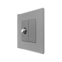 Priza TV Satelit cu Rama din Sticla LUXION, gri