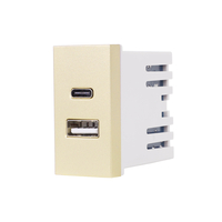 Modul Priza USB A+C 1M LUXION, Standard Italian, auriu