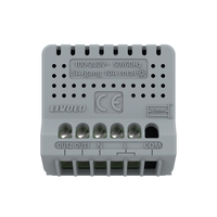 Modul Intrerupator Dublu Wi-Fi cu Touch LIVOLO – Serie Noua, alb