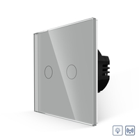 Intrerupator Dublu cu Variator si Touch din Sticla LUXION, RF433, gri