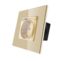 Priza Simpla cu Capac de Protectie cu Rama din Sticla LUXION, auriu