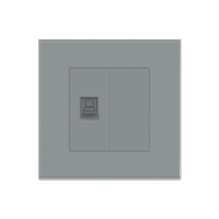 Priza Internet cu Rama din Sticla LUXION, gri