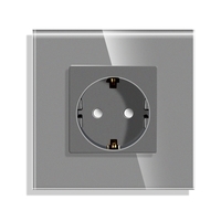 Priza Simpla LUXION cu Rama din Sticla, gri