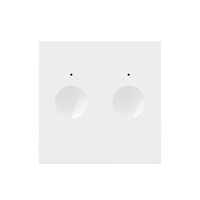 Modul Intrerupator Dublu Wi-Fi cu Touch LIVOLO – Serie Noua, alb