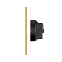 Priza Dubla LUXION cu rama din aluminiu, auriu