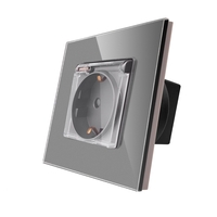 Priza Simpla cu Capac de Protectie cu Rama din Sticla LUXION, gri