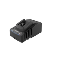 Incarcator acumulator Hyundai 20V C20-2, curent de incarcare 2 A