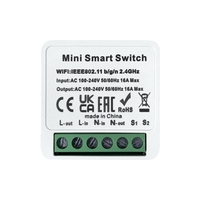 Releu Simplu LUXION Mini Smart, 1 Intrare, 1 Iesire