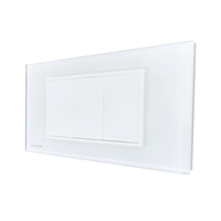 Priza blank - goala Livolo cu rama din sticla - standard italian, alb