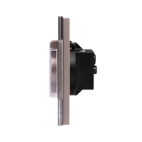 Priza Simpla cu Capac de Protectie cu Rama din Sticla LUXION, gri