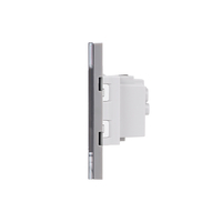 Priza Simpla si 1 Tasta Falsa cu Rama din Sticla LUXION, Standard Italian, 3M, gri