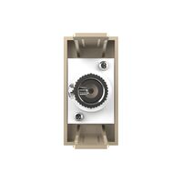 Priza TV Livolo, auriu