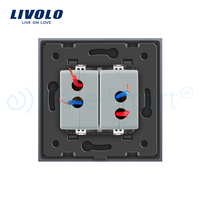 Priza dubla USB Livolo cu rama din sticla, gri