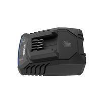 Incarcator acumulator Hyundai 20V C20-2, curent de incarcare 2 A