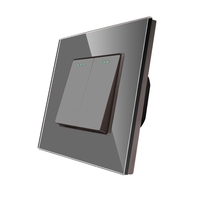 Intrerupator Dublu Mecanic LUXION cu Rama din Sticla, gri