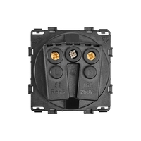 Modul Priza Simpla cu Capac Fara Rama Din Sticla LUXION, auriu