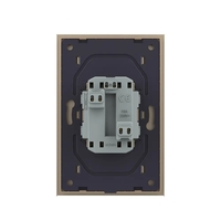 Priza Dubla Livolo cu Rama din Sticla Pentru Doza Simpla, auriu