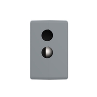 Priza USB Livolo, gri