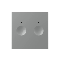 Modul Intrerupator Dublu cu Protocol Zigbee EC si Touch LIVOLO, gri