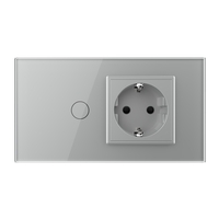 Intrerupator Simplu + Priza LIVOLO cu Rama Din Sticla, Standard Italian, 4M, gri