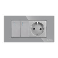 Intrerupator Dublu + Priza cu Rama din Sticla LUXION, Standard Italian, 4M, gri