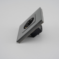 Priza Simpla LUXION cu Rama din Sticla, gri