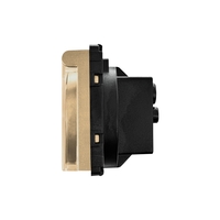 Modul Priza Simpla cu Capac Fara Rama Din Sticla LUXION, auriu