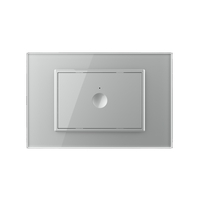 Intrerupator simplu cu touch Livolo cu rama din sticla, standard Italian - Serie noua, gri