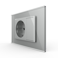 Priza simpla cu blank Livolo cu rama din sticla 3M, standard Italian, Serie noua, gri